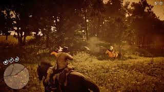 Como obtener el caballo Turcomano Bayo Oscuro en el capitulo 3  Red Dead Redemption 2  Glitch [upl. by Wiersma]