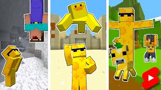 The Best Minecraft Beesechurger73 Shorts of 2022 Compilation [upl. by Ecirted]