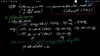 12CB Amine Đồng phân Danh pháp TCVL [upl. by Gowon]