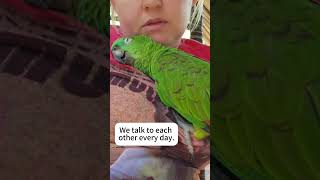 Parrots are such sticklers funny foryou parrot pets birds [upl. by Ribal]