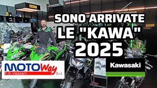 KAWASAKI 2025SONO ARRIVATE DA MOTOWAY ASSAGO [upl. by Blanchard963]