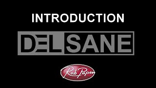 DelSane Introduction [upl. by Dent]