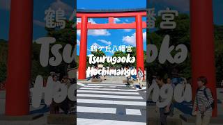 Tsurugaoka Hachimangu Shrine kamakura daytrip tokyotravel traveljapan [upl. by Lucey]