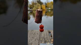 Карпфишинг fishing carpfishing carp рыбалка [upl. by Irtak]