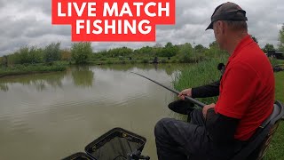 Live Fishing Match Manor Farm Swilland ip6 9lb matchfishinguk [upl. by Lehctim]