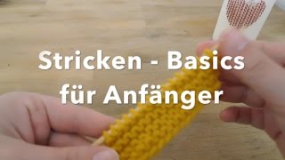 Tutorial Stricken  Basics für Anfänger [upl. by Iamhaj162]