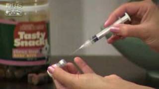 How to Vaccinate Your Dog at Home DrsFosterSmith [upl. by Ahusoj79]