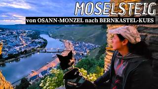 Wandern auf dem Moselsteig mit Hund und Camper  Etappe 10  Osann Monzel  Bernkastel Kues [upl. by Ackerley148]