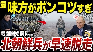 【ゆっくり解説】クルスク州に配置予定のロシア軍所属北朝鮮兵の失態 [upl. by Pierpont]