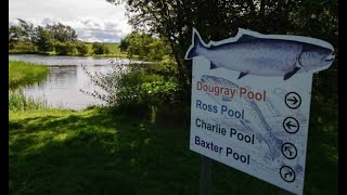 Kinross Trout Fishery July 2022 Fly Fishing [upl. by Leinadnhoj]