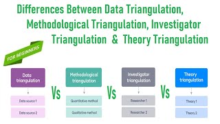 4 Types of Triangulation in Research [upl. by Aneekal631]