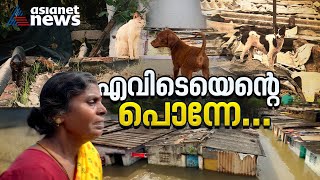 വെള്ളയെയും കറുപ്പനെയും തേടി സരസു ചെന്നൈയിൽ പ്രളയം ബാക്കിവെക്കുന്ന ചില കാഴ്ചകൾ  Chennai Rain [upl. by Letha710]