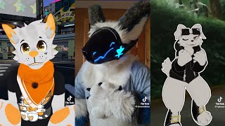 Furry Tiktok Memes That Made My Week [upl. by Lowery771]