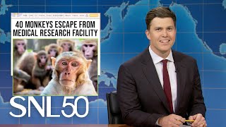 Weekend Update 43 Monkeys Escape Research Facility Moo Dengs New Rival  SNL [upl. by Eevets309]