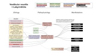 Vestibular neuritis  Labyrinthitis mechanism of disease [upl. by Flodnar]