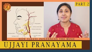 Ujjayi Pranayama  Part 2  The science behind how it influences the mind [upl. by Harlamert]