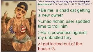 Anon Submits to a Cat  4Chan Greentext Story [upl. by Lathe]