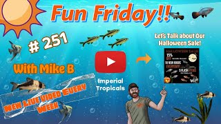 Lets talk about our Halloween Sale With Mike B 251 [upl. by Pressman577]