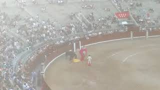 Bullfighting in Madrid of Spain [upl. by Castara]