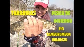 EL DESPERTAR DE LAS DIENTONAS 2  PESCA EN BRANDSEN  RIO SAMBOROMBON [upl. by Llerrah588]