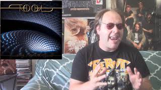 Tool  FEAR INOCULUM Album Review [upl. by Ocsicnarf]