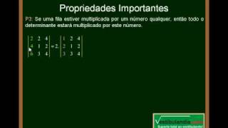 Matemática  Aula 20  Determinantes  Parte 8 [upl. by Naldo]