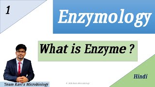 What is Enzyme  Hindi  Enzymology [upl. by Miyasawa862]