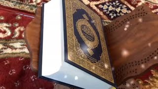 video of QuranIslamic videosIslamic background music motivational [upl. by Ientirb]