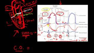 Cardiac Cycle [upl. by Dasie829]