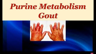 MSK 105 Purine metabolism amp Gout [upl. by Diella]