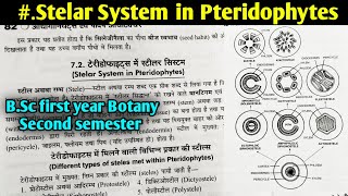 Stelar System in Pteridophytes in hindi  BSc first year Botany Second semester [upl. by Tunk]