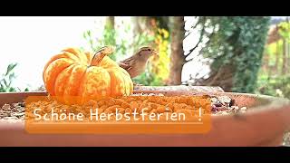 Schöne Herbstferien [upl. by Mika514]