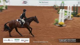 Select Working Hunter  2024 AQHA World Championship Show [upl. by Saref]