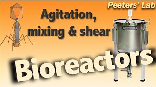 Introduction to Bioreactors Mixing agitation amp shear [upl. by Ailssa]