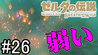 【BotWのんびり編】お前は何回戦ってもザコなんじゃあああああああ【ゼルダの伝説 ブレスオブザワイルド】 [upl. by Nikola971]