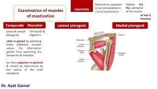 How to palpate muscles of mastication [upl. by Ahtnamys]