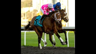 2021 El Camino Real Derby Race Replay at Golden Gate Fields on February 13 2021 [upl. by Atat716]