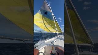 Sunfish Planing ￼￼On A Broad Reach sailing sailboat racing lakemichigan [upl. by Anoit]