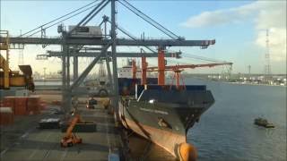 Two STS Cranes at work Port of Antwerp Timelapse made with a Gopro Hero [upl. by Cullie844]