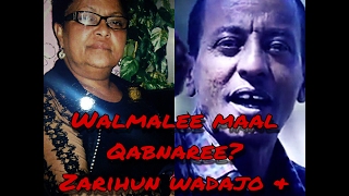 Zarihun Wadajo amp Ilfinash Qano quotWalmalee Maal Qabnaree Oromo Old Musicquot [upl. by Ronel288]