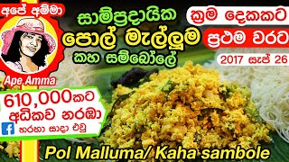 ✔ බඩේ තුවාල සුව කරන පොල් මැල්ලුම කහ සම්බෝලේ Pol Mallum for stomach ulcers by Apé Amma [upl. by Celeski541]