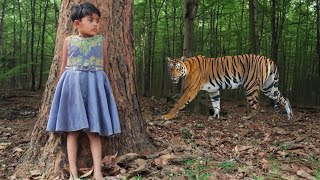 tiger attack man in the forest  tiger attack in jungle royal bengal tiger attack [upl. by Neleb]