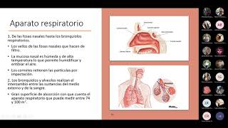 Toxicología Ambiental Clase 19 [upl. by Ybsorc]