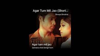 agar tum mil jao song [upl. by Ellison]