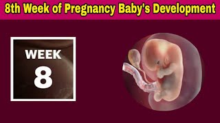 8th Week of Pregnancy Symptoms Changes amp Baby Development  8th Week of Pregnancy in telugu [upl. by Vladimir]