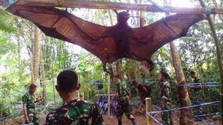 GIANT BAT CAPTURED WHAT IS IT [upl. by Ttehc]