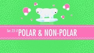 Polar amp NonPolar Molecules Crash Course Chemistry 23 [upl. by Winfred]