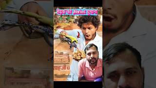 मेंढक🐸को Market घूमाने जानाfrog funnyviralvideo sorts [upl. by Aelahc]