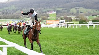 TEAHUPOO batters bookies with Stayers Hurdle glory [upl. by Nilkoorb834]