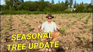 Christmas tree farm update How the changes we made are doing [upl. by Suirred]